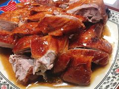 -聂记粤菜馆(鼓西路店)