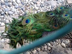 -南京金牛湖风景区