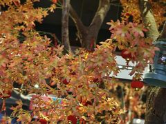 -咖啡人·融合餐厅(健康东路店)