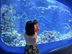 -欢乐海岸海洋奇梦馆