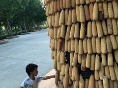 -北戴河集发农业梦想王国