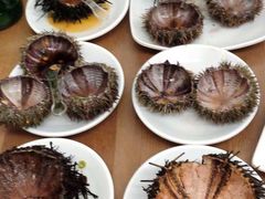 -海胆小馆(东北水饺·春柳店)