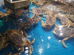 -盒马鲜生(悦峰店)