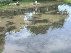 -堤角公园