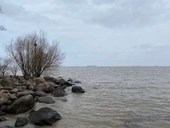 -上海吴淞炮台湾国家湿地公园