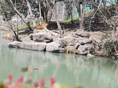 -宁波野生动物园