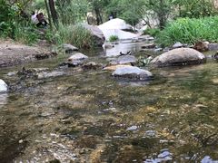 -碓臼峪自然风景区