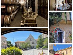 -北京张裕爱斐堡酒庄