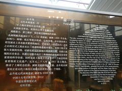 -元代水闸遗址博物馆