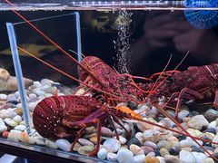 -家贺屋刺身寿司专门店