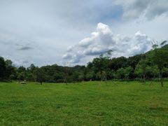 -田心森林公园