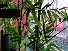 -牛村来人潮汕牛肉火锅(西单店)