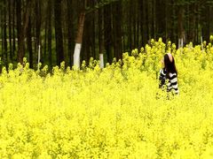 -桤木河湿地公园