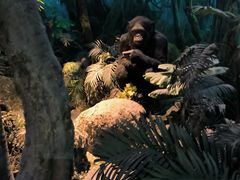 -国家自然博物馆