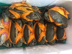 -501號台州海鲜餐厅(海创园店)