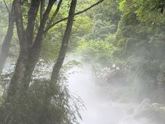 -西岭雪山大飞水景区
