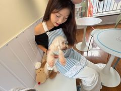 -汪说·狗咖·拼豆·宠物周边DIY(旺城大厦店)