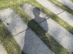 -重庆市江北嘴中央商务区中央公园