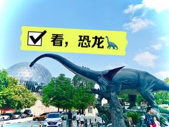 -陕西自然博物馆