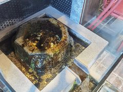 -泉畔人家·老济南经典鲁菜(大明湖店)
