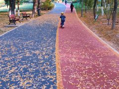 -大兴滨河森林公园