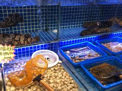 水产区-必点海鲜·鲅鱼水饺(鞍山西道店)