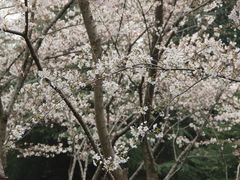 -白塘生态植物园