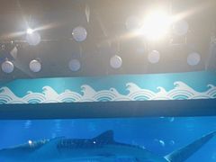 -烟台海昌鲸鲨海洋公园