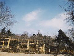 -石老人观光园
