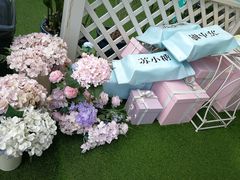 -苏小糖(鼓浪屿三丘田花园店)