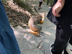 -黔灵山公园-南门售票处