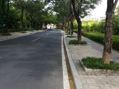 -金鸡岭桥头公园