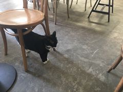 -研途咖啡馆(健康路店)