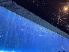 -西安华夏文旅水世界