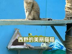 -青藏高原野生动物园