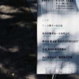 苏州曲园|这里是新江南