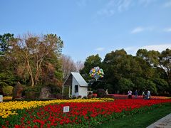 -上海鲜花港