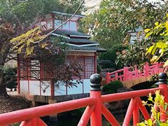 -丹樱生态园