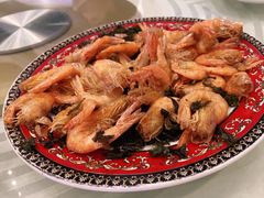 -五谷芳乳鸽王(海景店)