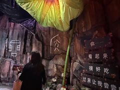 -正佳雨林生态植物园