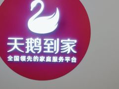 -天鹅到家·保姆月嫂育儿嫂(蔚蓝海岸店)