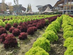 -中国天府农业博览园