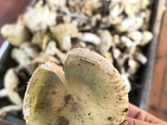 -兴福老面馆(寺路街店)