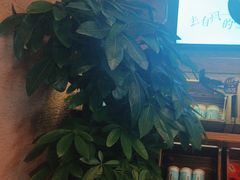 -云海肴·汽锅鸡·云南代表菜(天山百盛优客店)