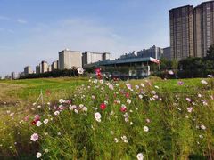 -汉长安城未央宫国家考古遗址公园