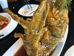 -老牌坊•鲁菜名店•地道济南菜(大观园商埠店)