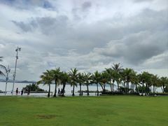 -深圳湾公园(南山区)