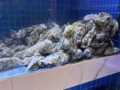 -花西亭·海鲜自助餐厅(瑞城名人酒店)