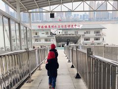 -武汉关码头(轮渡站)