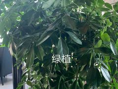 -新沸腾鱼乡(世贸天阶店)